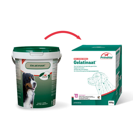 Primeval Gelatinaat Hond