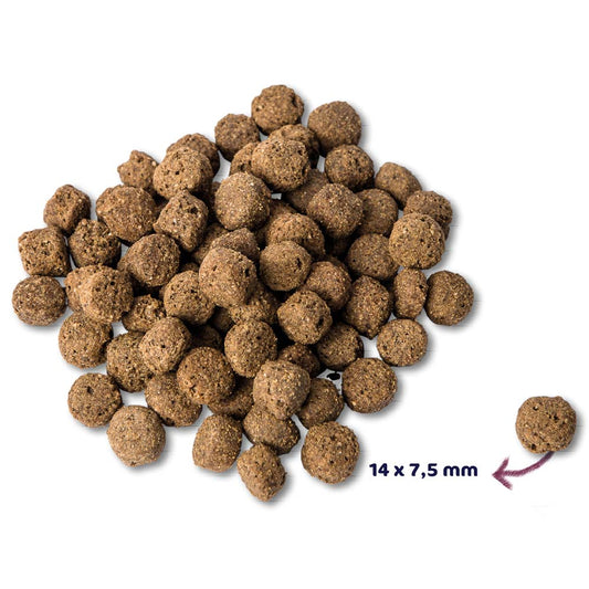 Renske Super Premium Adult Oceaanvis Hypoallergeen