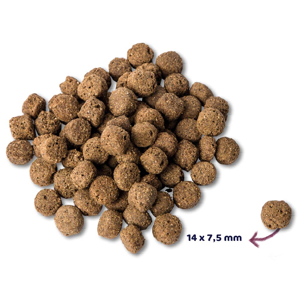 Renske Super Premium Adult Oceaanvis Hypoallergeen