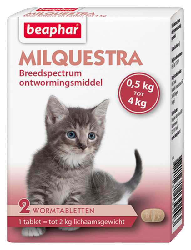 Beaphar Milquestra Kleine Kat / Kitten