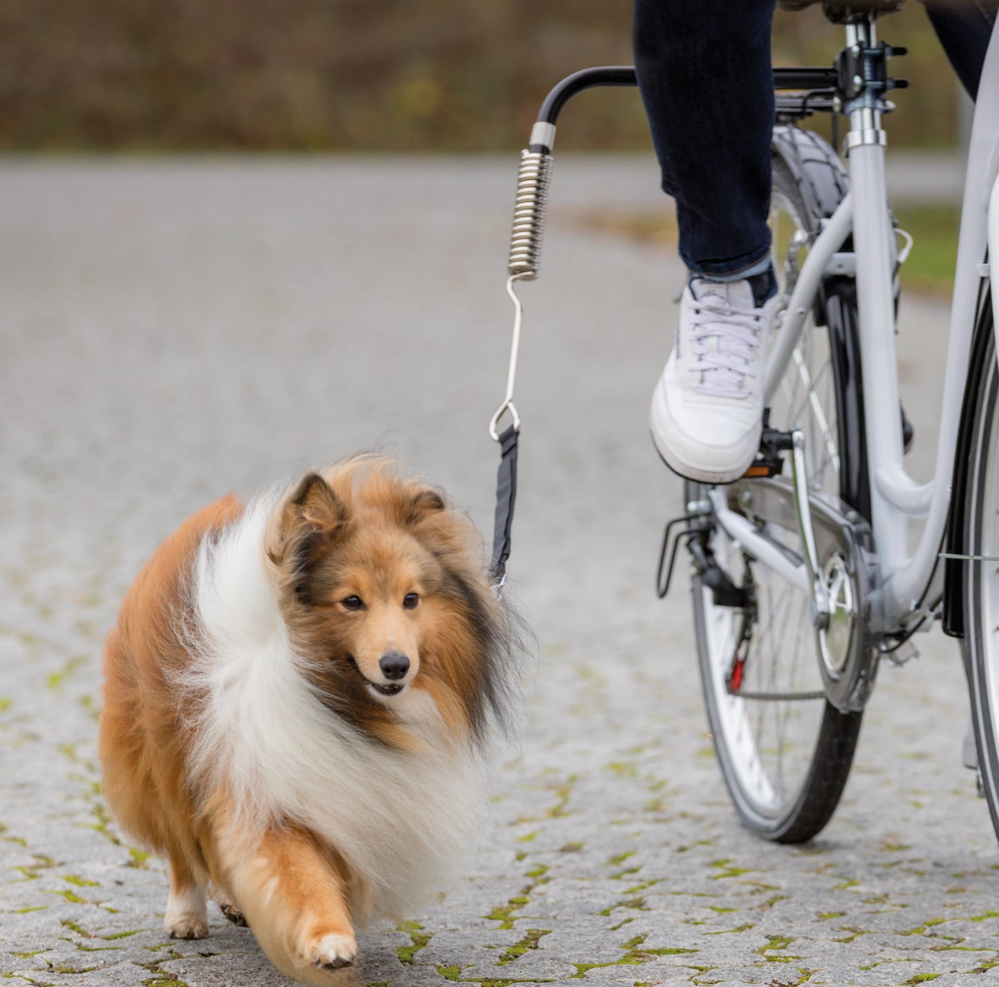 Trixie Bikerset Fietsbeugel Springer