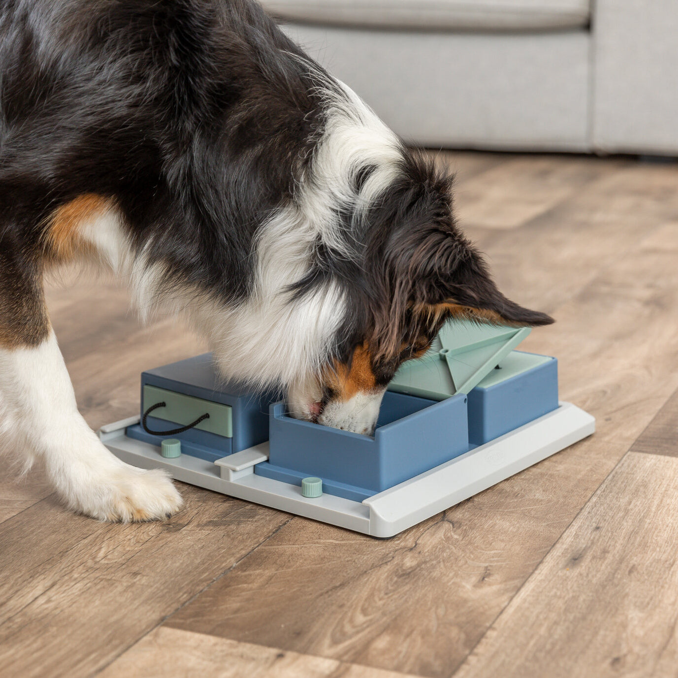 Trixie Dog Activity Poker Box 1