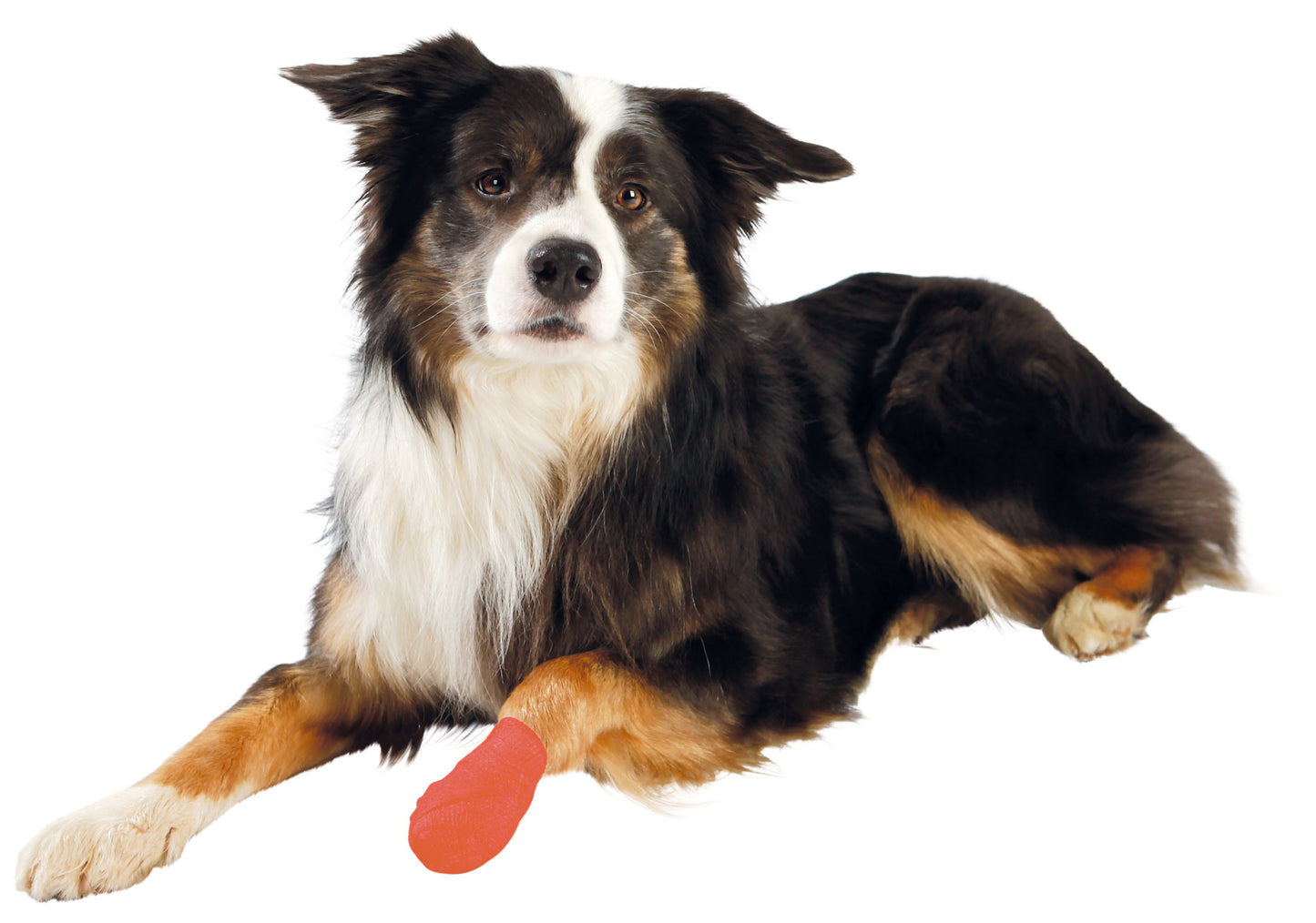 Trixie Zelfklevend Verband Assorti