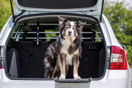 Trixie Hondenrek Auto Zilver / Zwart