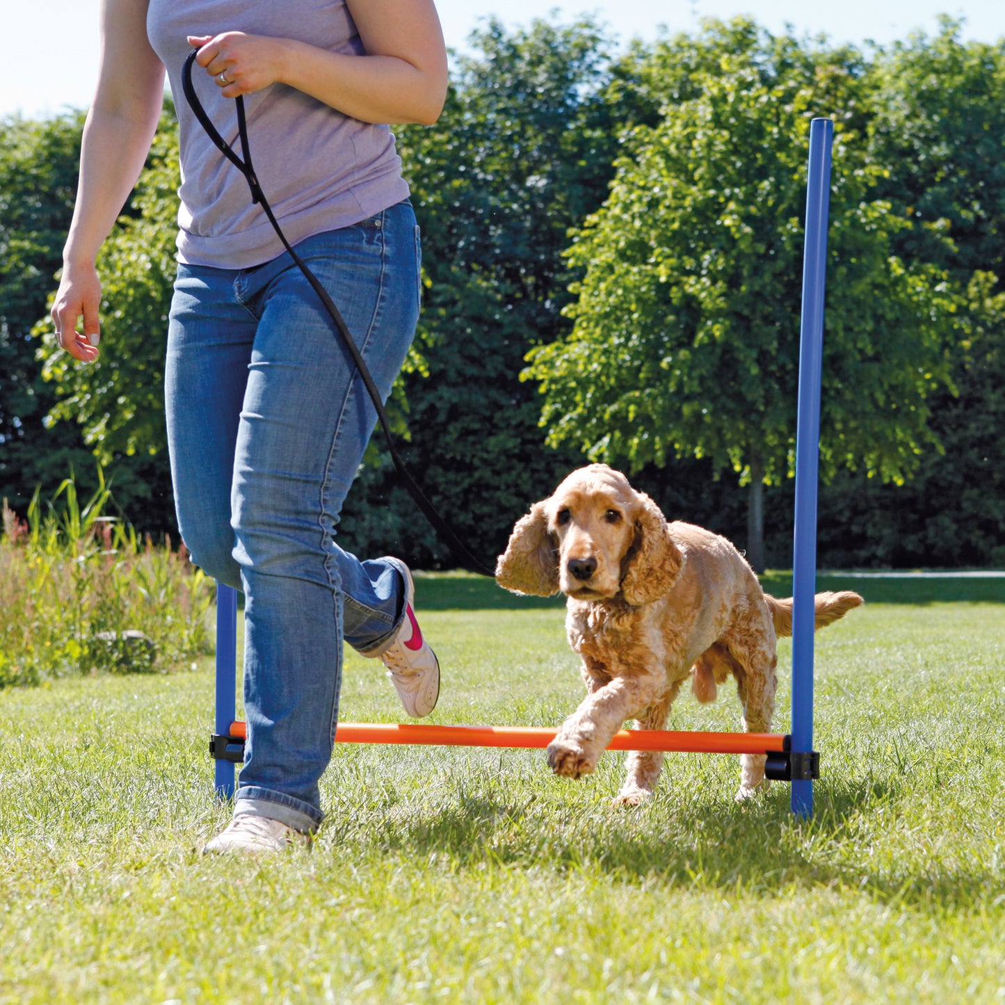 Trixie Dog Activity Agility Horde Blauw / Oranje