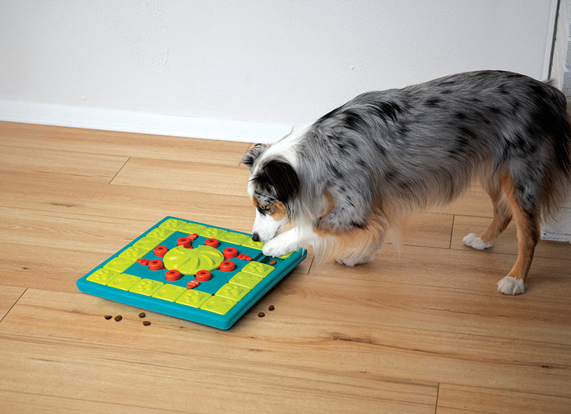Nina Ottosson Multipuzzle Blu