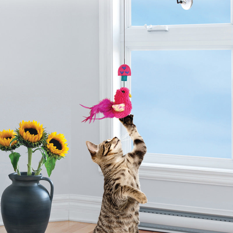 Kong Cat Connects Kattenhengel Raam Assorti