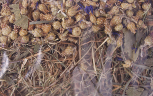 Excellent Kruidenhooi Korenbloem En Berkenblad