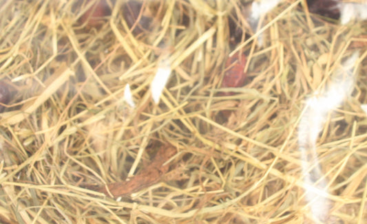 Excellent Kruidenhooi Rozenbottel En Mint