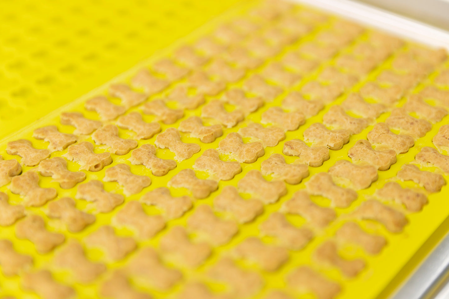 Trixie Bakmat Met Botjes Voor Hond Silicone