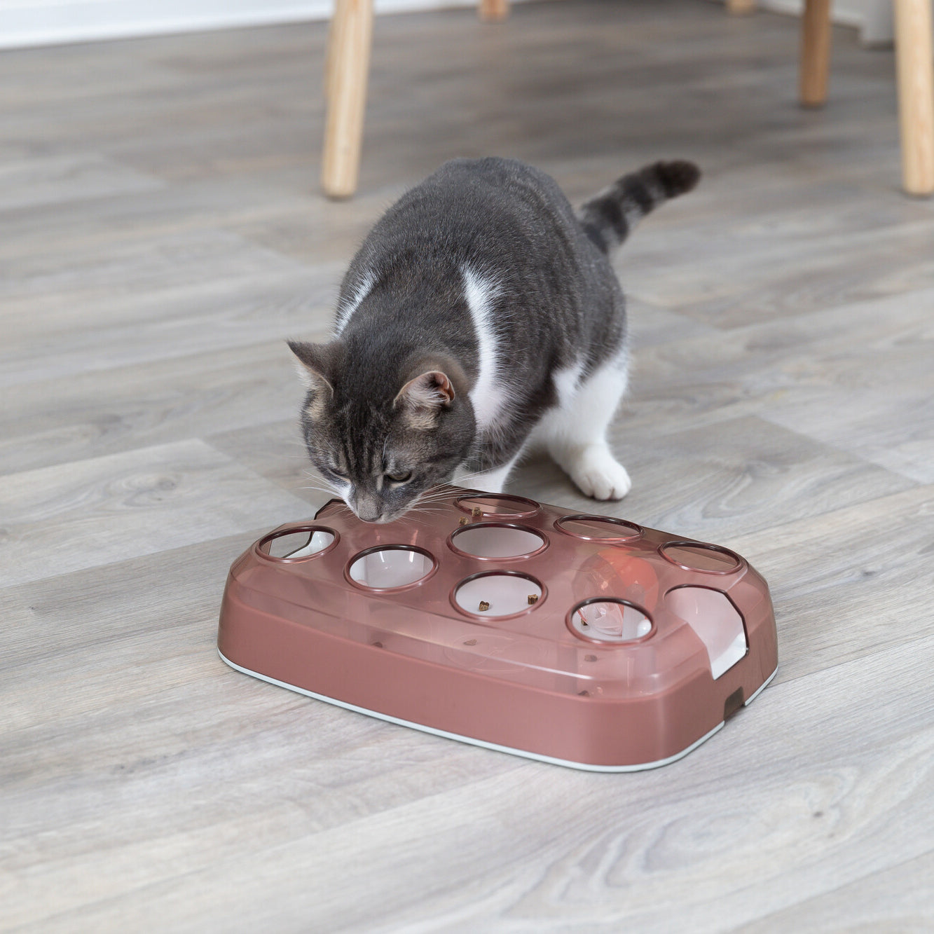 Trixie Activiteitenspeelgoed Voor Katten Voetbal Kunststof