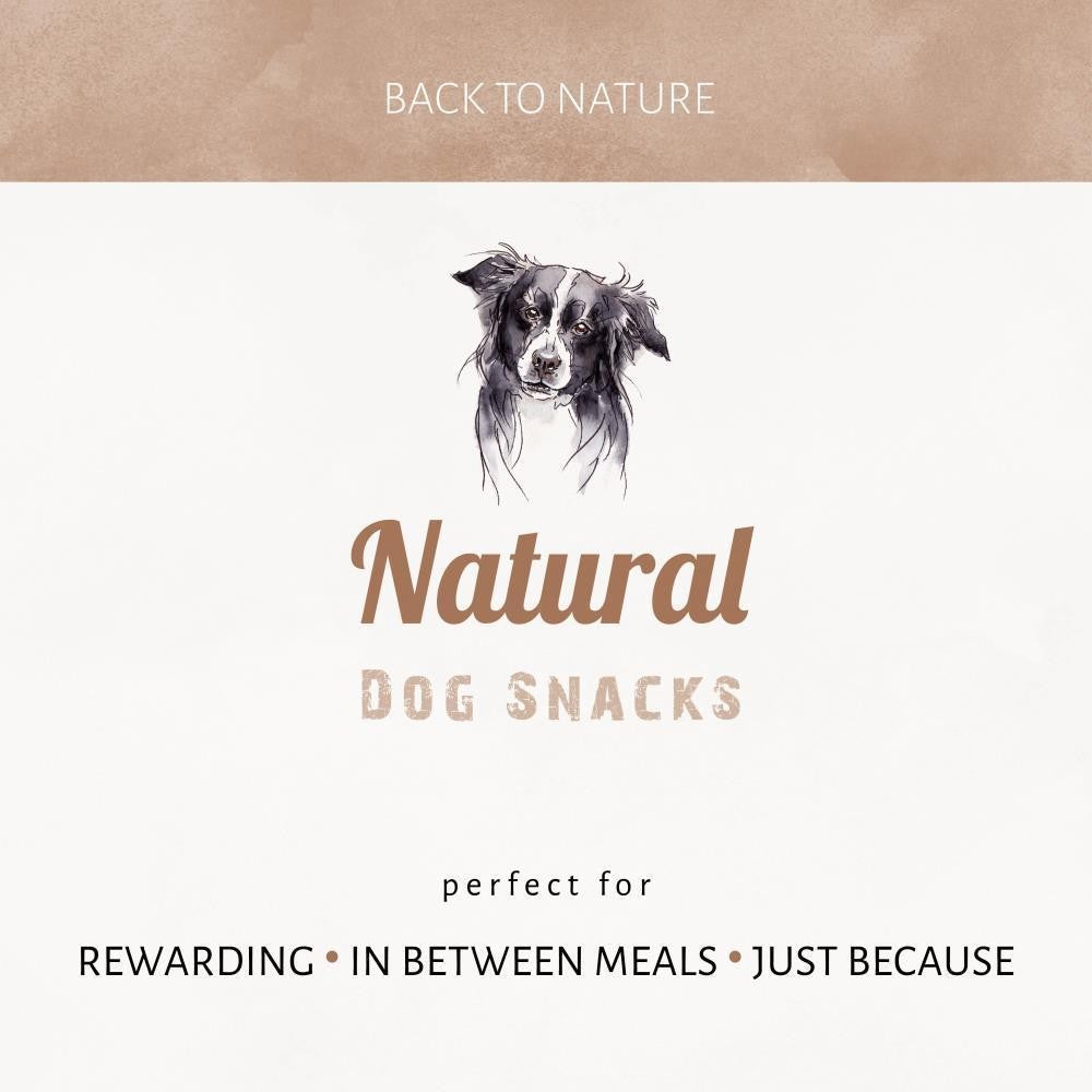 Antos Bullepeespuntjes