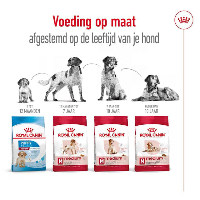 Royal Canin Medium Adult