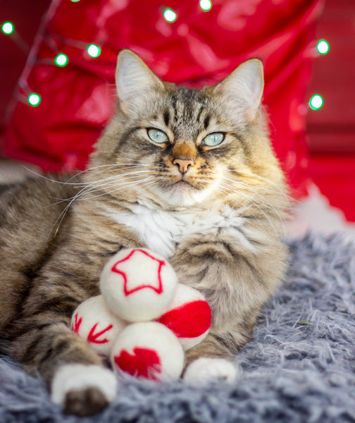 Cupid & Comet Wollen Ballen