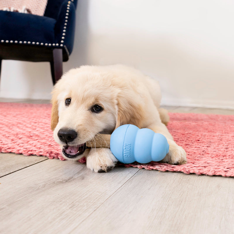 Kong Ziggies Enhanced Puppy
