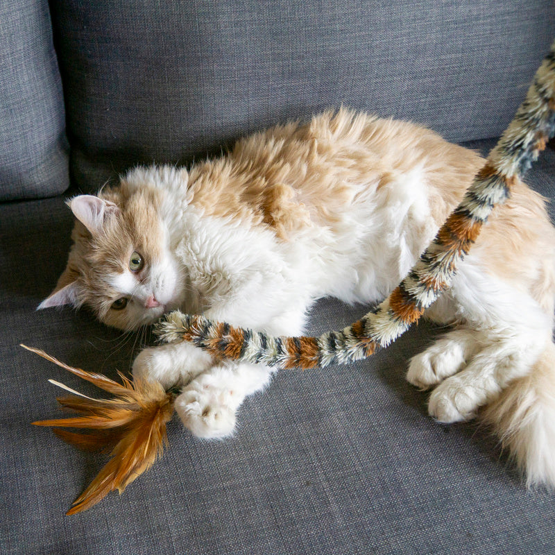 Kong Swizzle Bird Kattenhengel