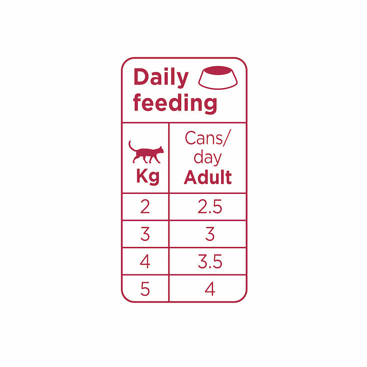 Prins Chunky Pate Chicken / Turkey