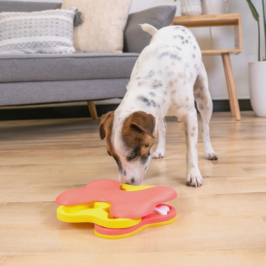 Nina Ottosson Dog Tornado