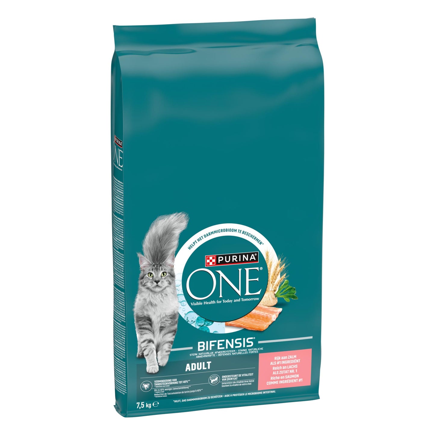 One Purina One Adult Zalm