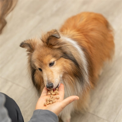 Trixie Bakmat Voor Dierensnacks Bpa Vrij Paars