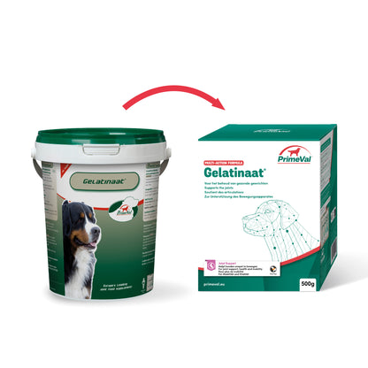Primeval Gelatinaat Hond