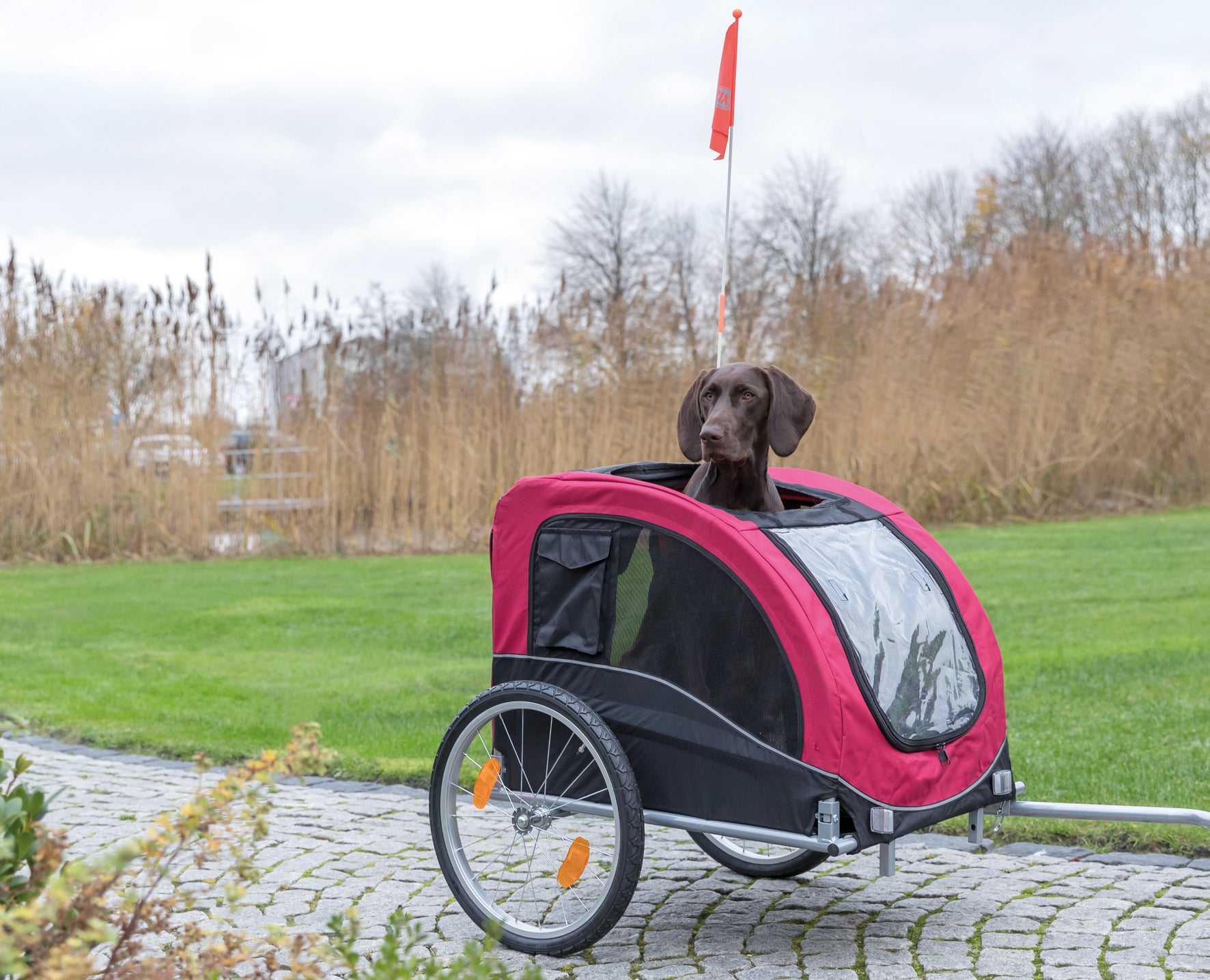 Trixie Hondenfietskar Zwart / Rood