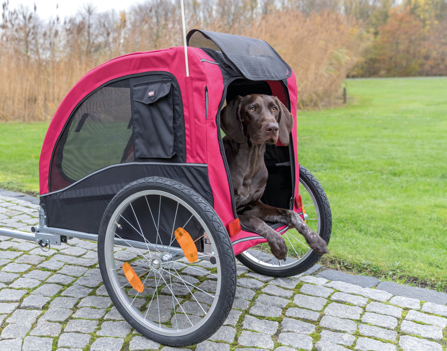 Trixie Hondenfietskar Zwart / Rood