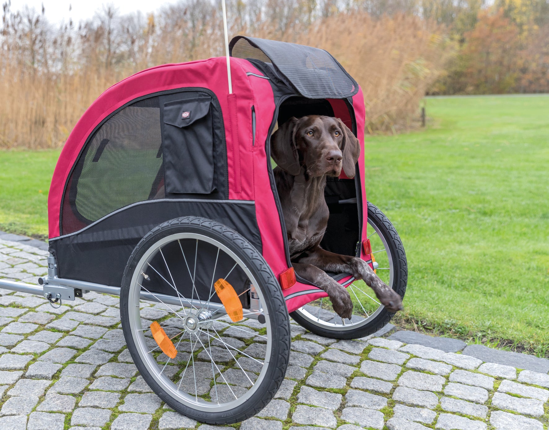 Trixie Hondenfietskar Zwart / Rood