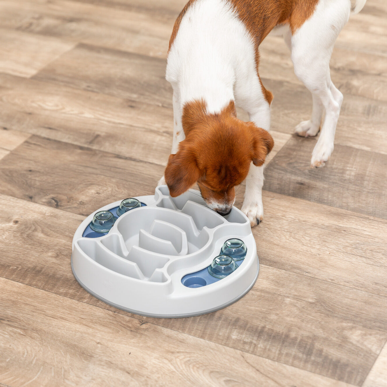 Trixie Dog Activity Slide & Feed