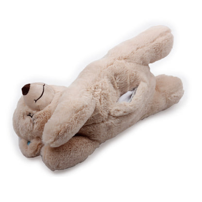 Afp Little Buddy Warm Bear