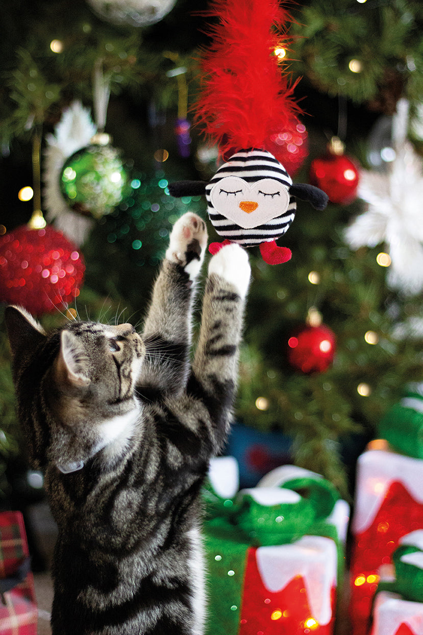 Rosewood Kattenhengel Gestreepte Pinguin Met Veer