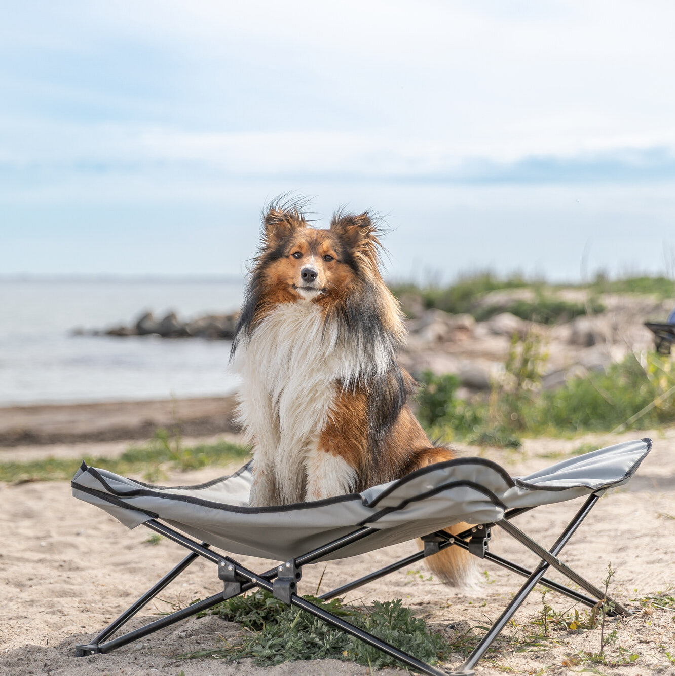 Trixie Stretcher Voor Hond Donkergrijs / Zwart