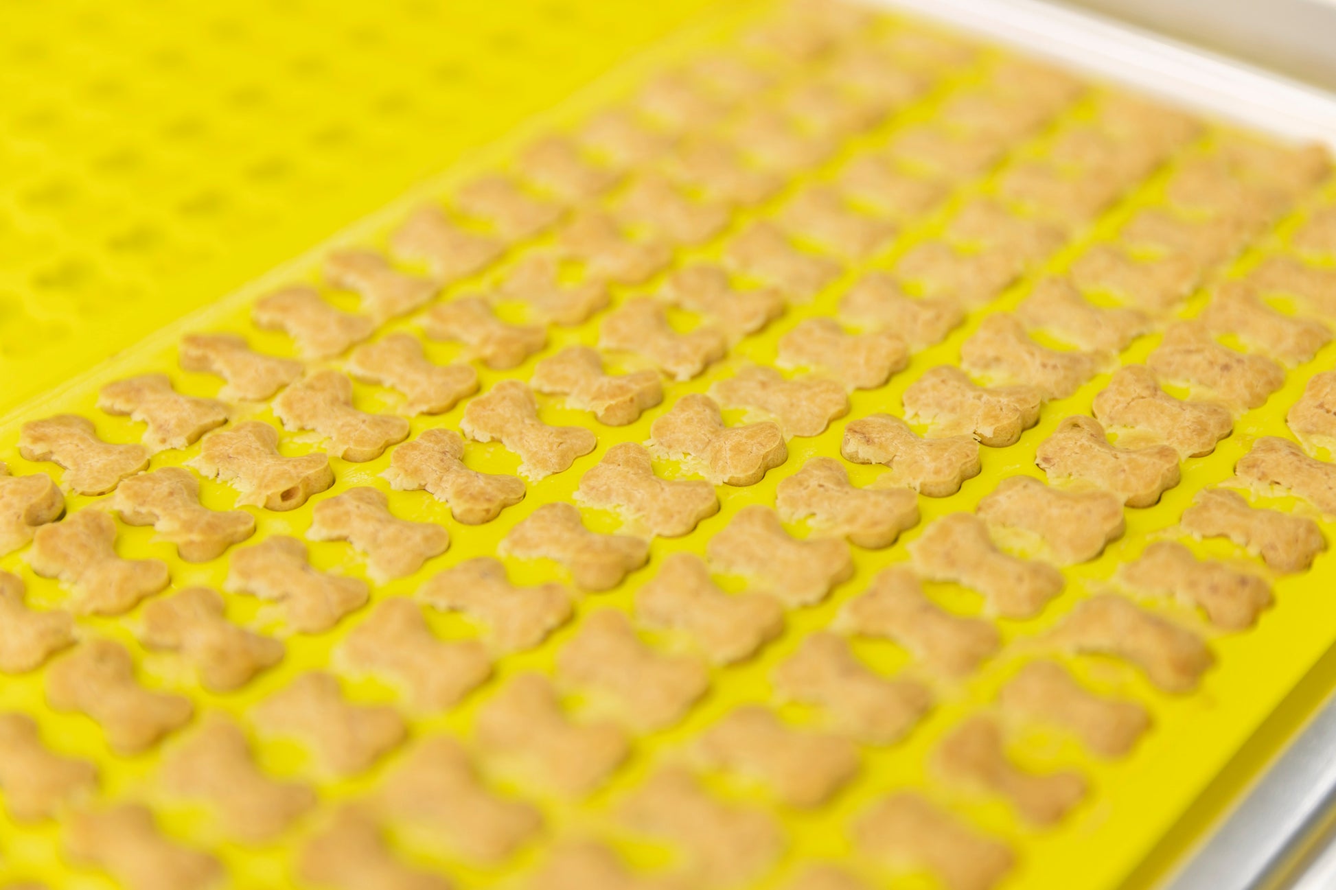 Trixie Bakmat Met Botjes Voor Hond Silicone