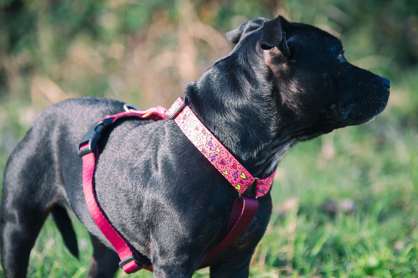 Morso Hondentuig H-Tuig Gerecycled Pink Think Roze