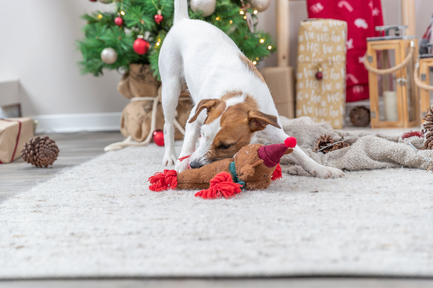 Trixie Xmas Rendier Pluche / Flostouw