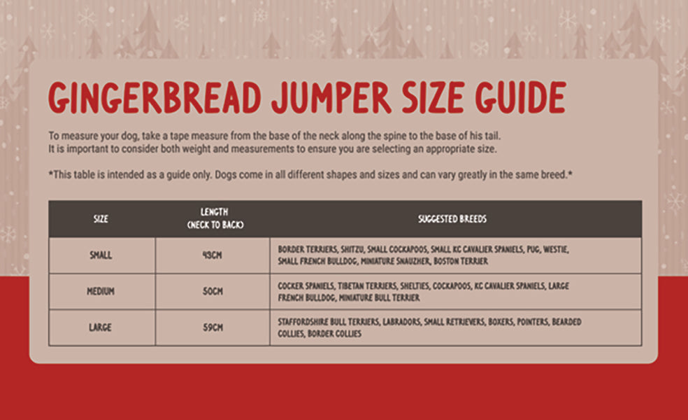 Cupid & Comet Christmas Eve Gift Pack Met Trui / Speeltje / Snacks