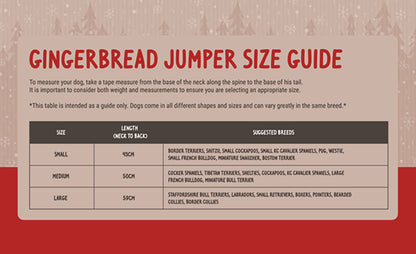 Cupid & Comet Christmas Eve Gift Pack Met Trui / Speeltje / Snacks