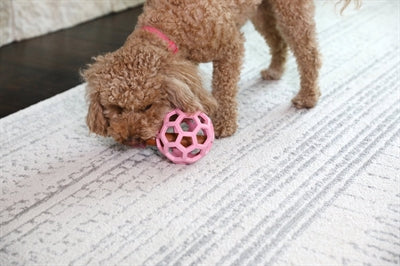 Jw Hol-Ee Roller Trend-Ee Roze 11,5X11,5X11,5 Cm