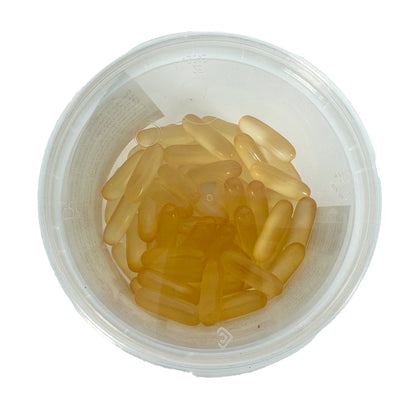 Dierendrogist Zalmolie Capsules