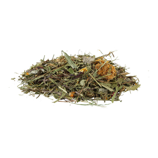 Zolux Nmeal Mix Dental