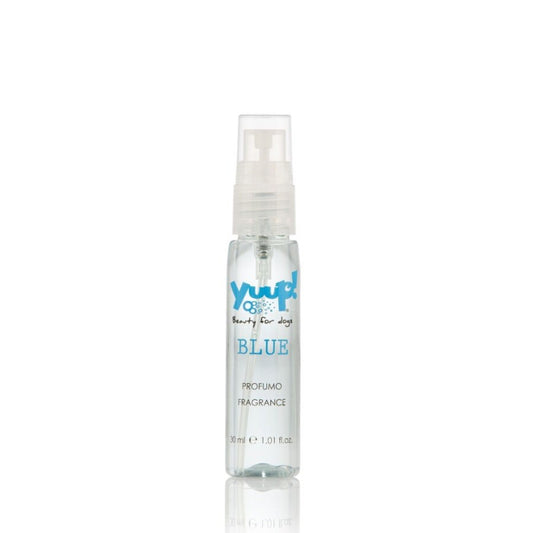 Yuup! Blue Parfum