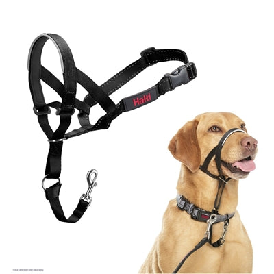 The Company Of Animals Company Of Animals Halti Headcollar Zwart Nr 2