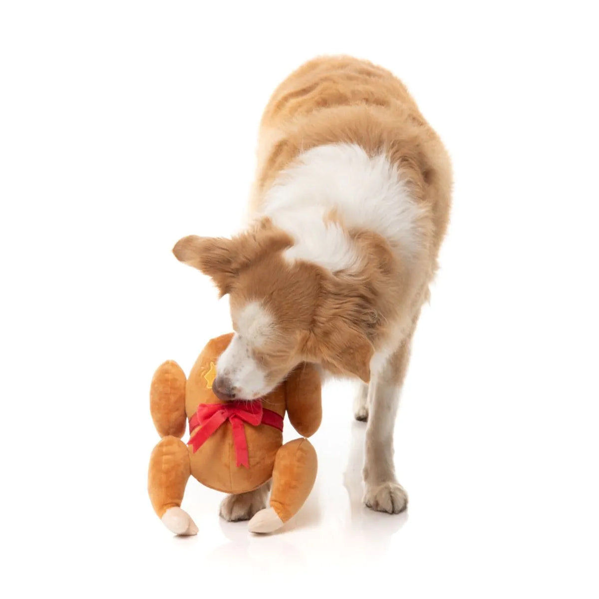 Fuzzyard Lets Get Basted Roast Kalkoen