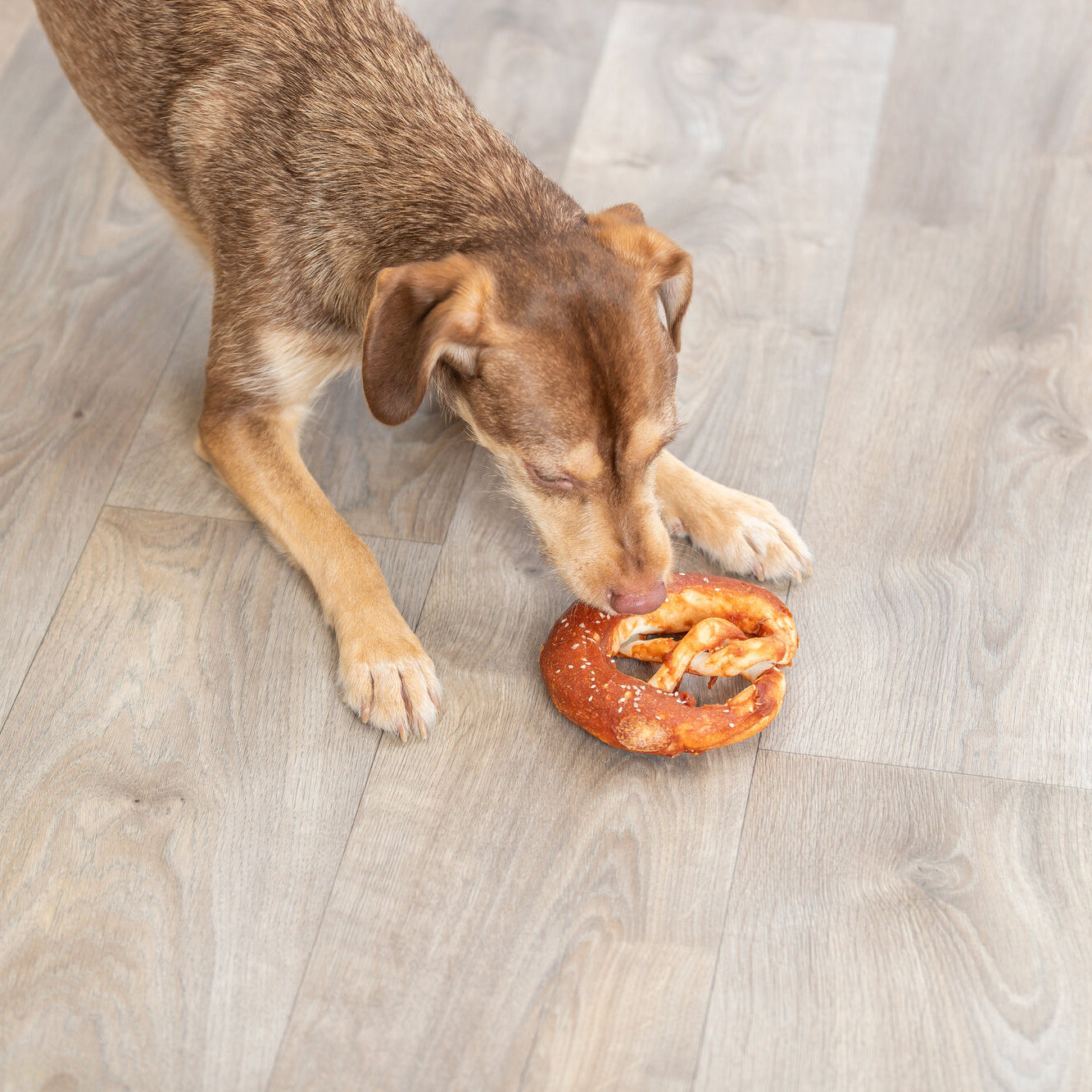 Trixie Denta Fun Pretzels Eend