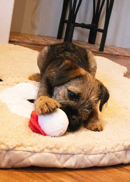 Cupid & Comet Sandra Snowball