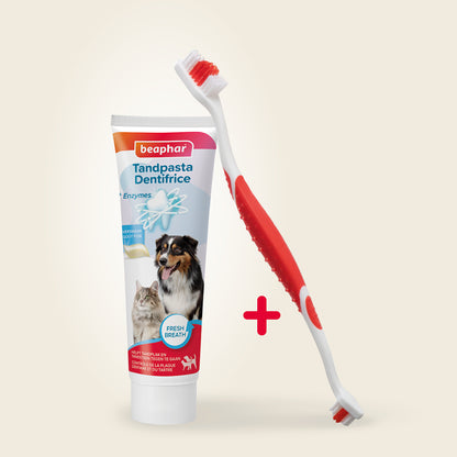 Beaphar Tandpasta En Borstel Combi-Pack