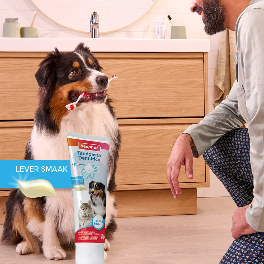 Beaphar Tandpasta En Borstel Combi-Pack