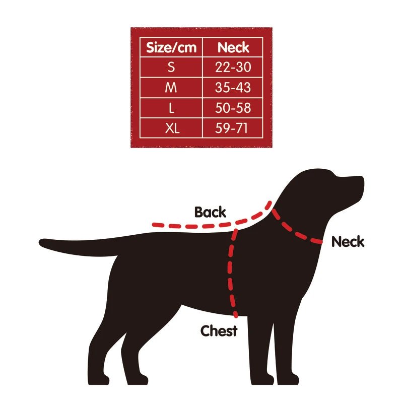 Plenty Gifts Kerst Sjaal Santa's Favorite Dog Rood