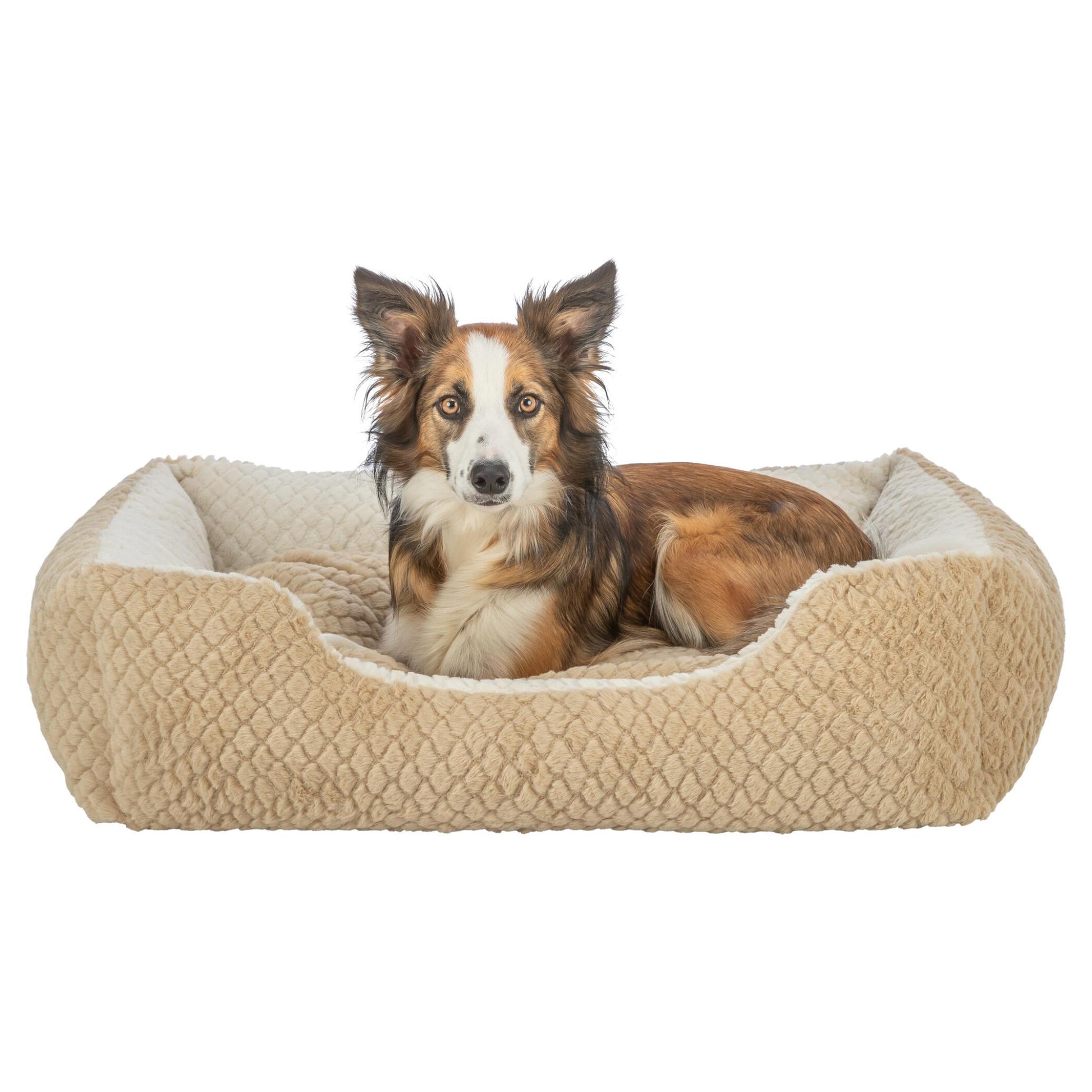 Trixie Hondenmand Kaline Mio Hoekig Lichtbruin / Creme