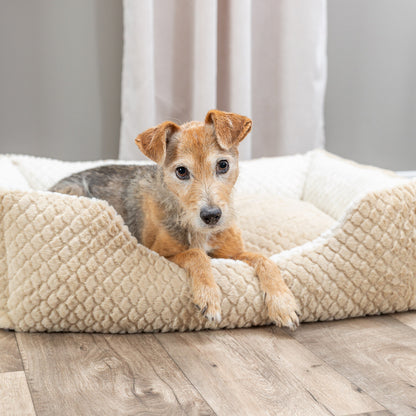 Trixie Hondenmand Kaline Mio Hoekig Lichtbruin / Creme